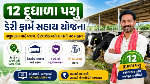 12 દૂધાળા પશુ ડેરી ફાર્મ સહાય યોજના ગુજરાત 2026