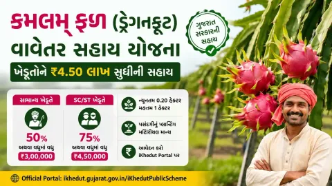 ગુજરાતમાં કમલમ ફળ ડ્રેગનફ્રૂટ વાવેતર માટે સહાય યોજના