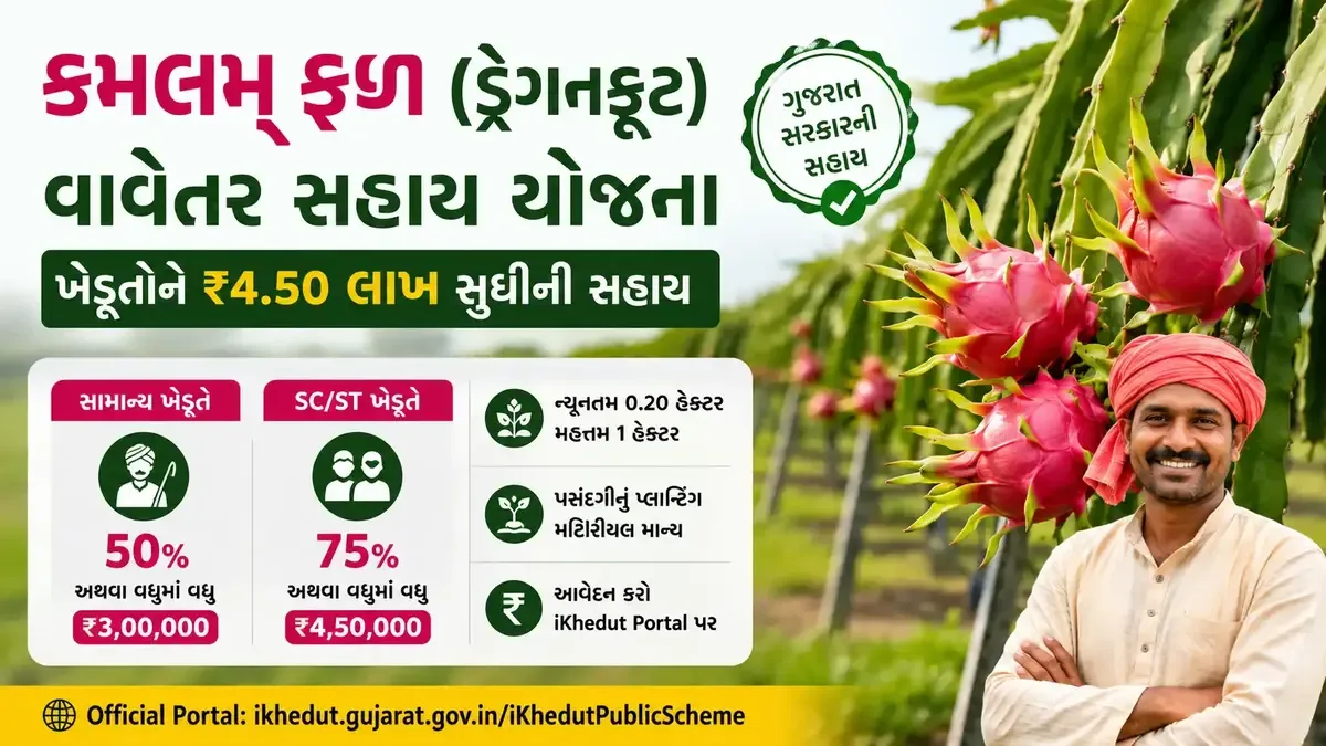 ગુજરાતમાં કમલમ ફળ ડ્રેગનફ્રૂટ વાવેતર માટે સહાય યોજના